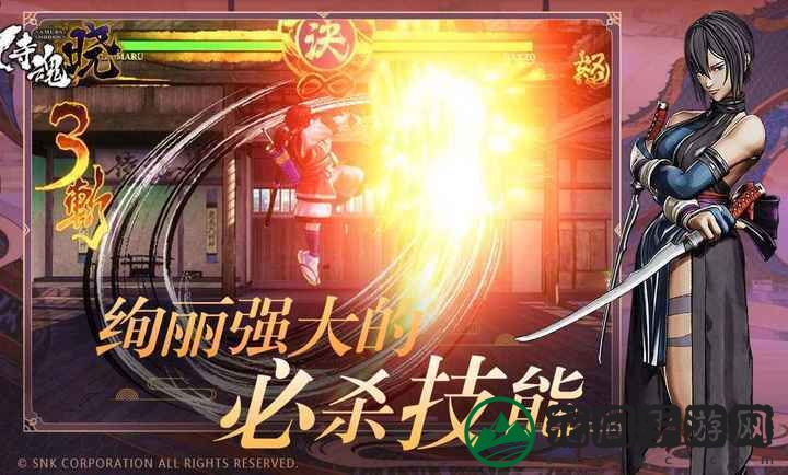 侍魂晓手机版