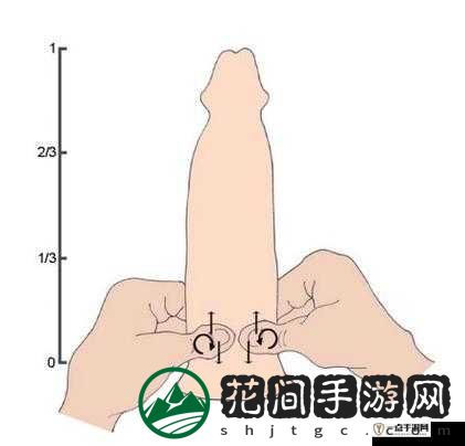 交而不泄的方法：全面解析与实用技巧分享