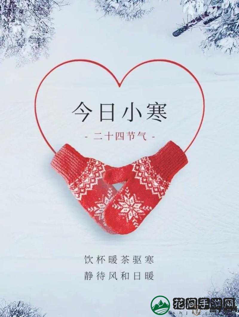 岁岁有今朝po茶茶好：愿美好时光常伴你我左右