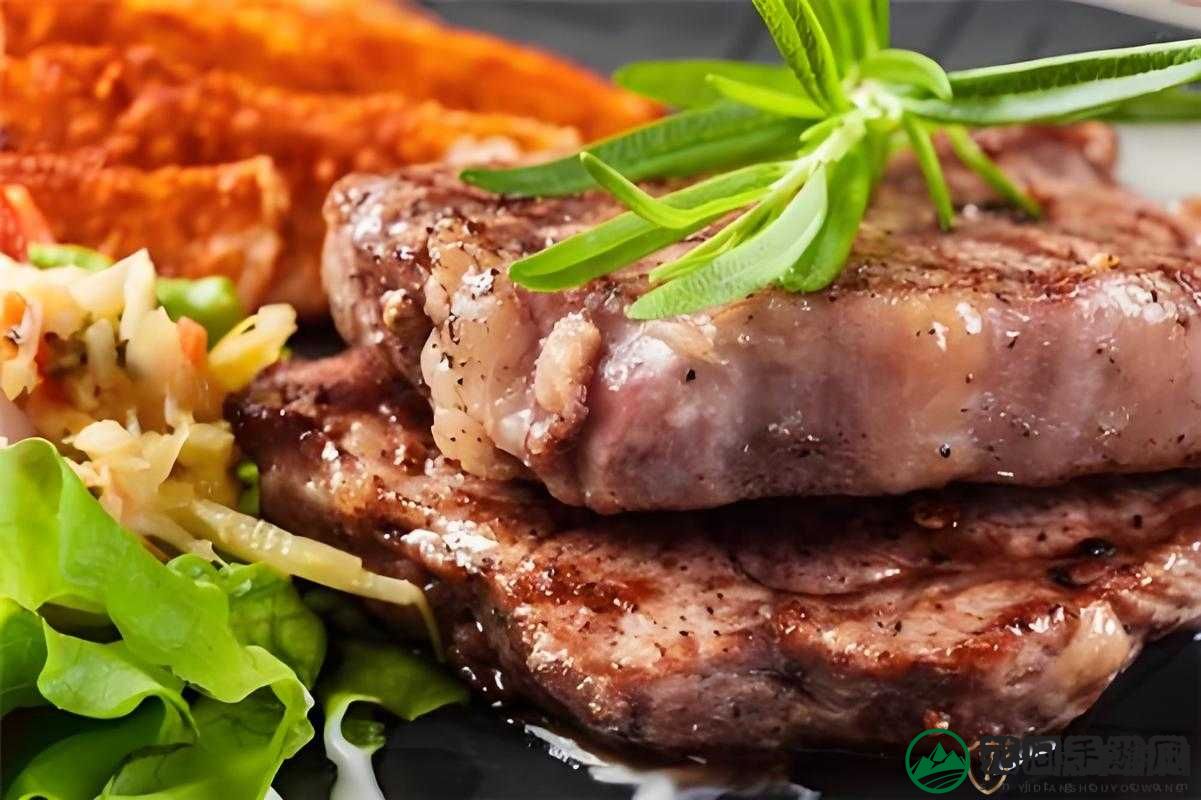 小森生活牛排做法详解，腌制步骤在资源管理中的重要性与实践