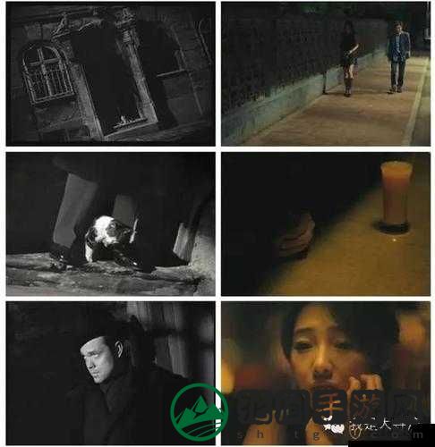 你看镜子里我们的结合：那是多么奇妙又美好的画面