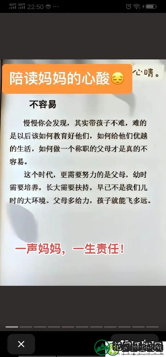 陪读期间家长忍不住