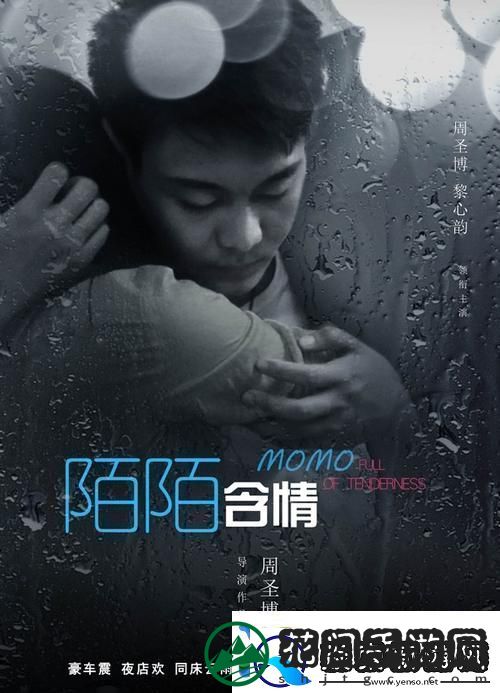 陌陌影视在线观看高清完整版影片网友